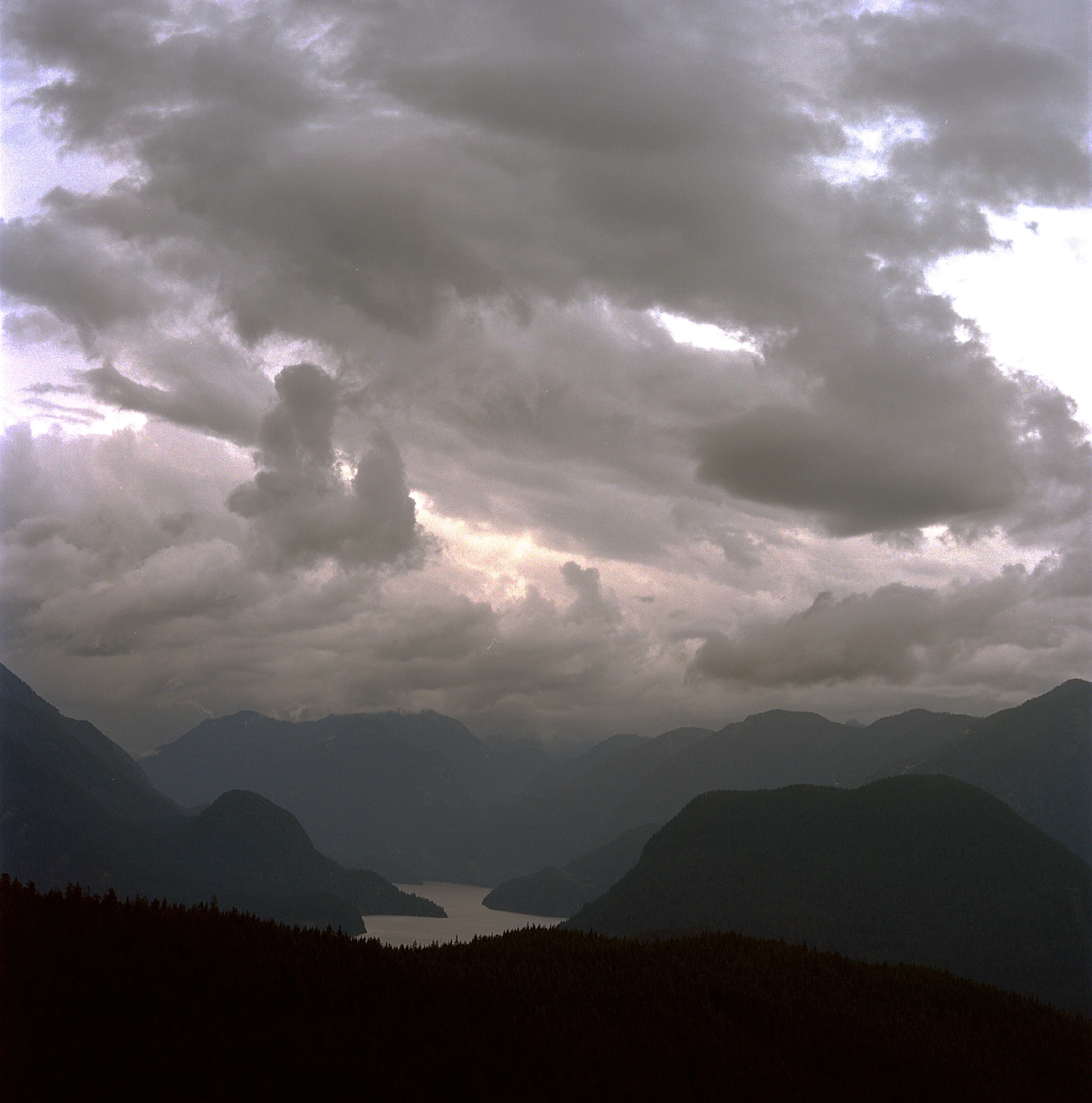  Hawk View by Jock McDonald 