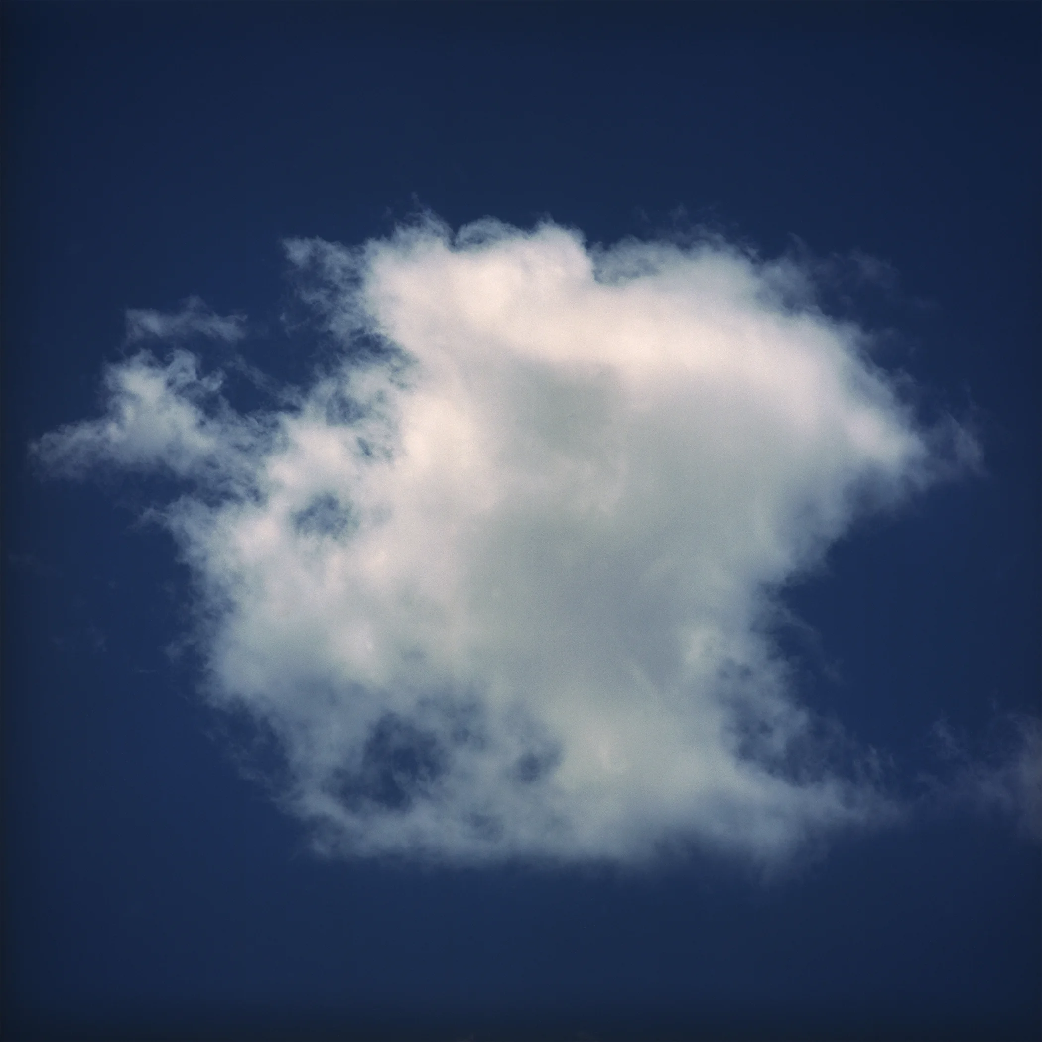  Circle by Jock McDonald 