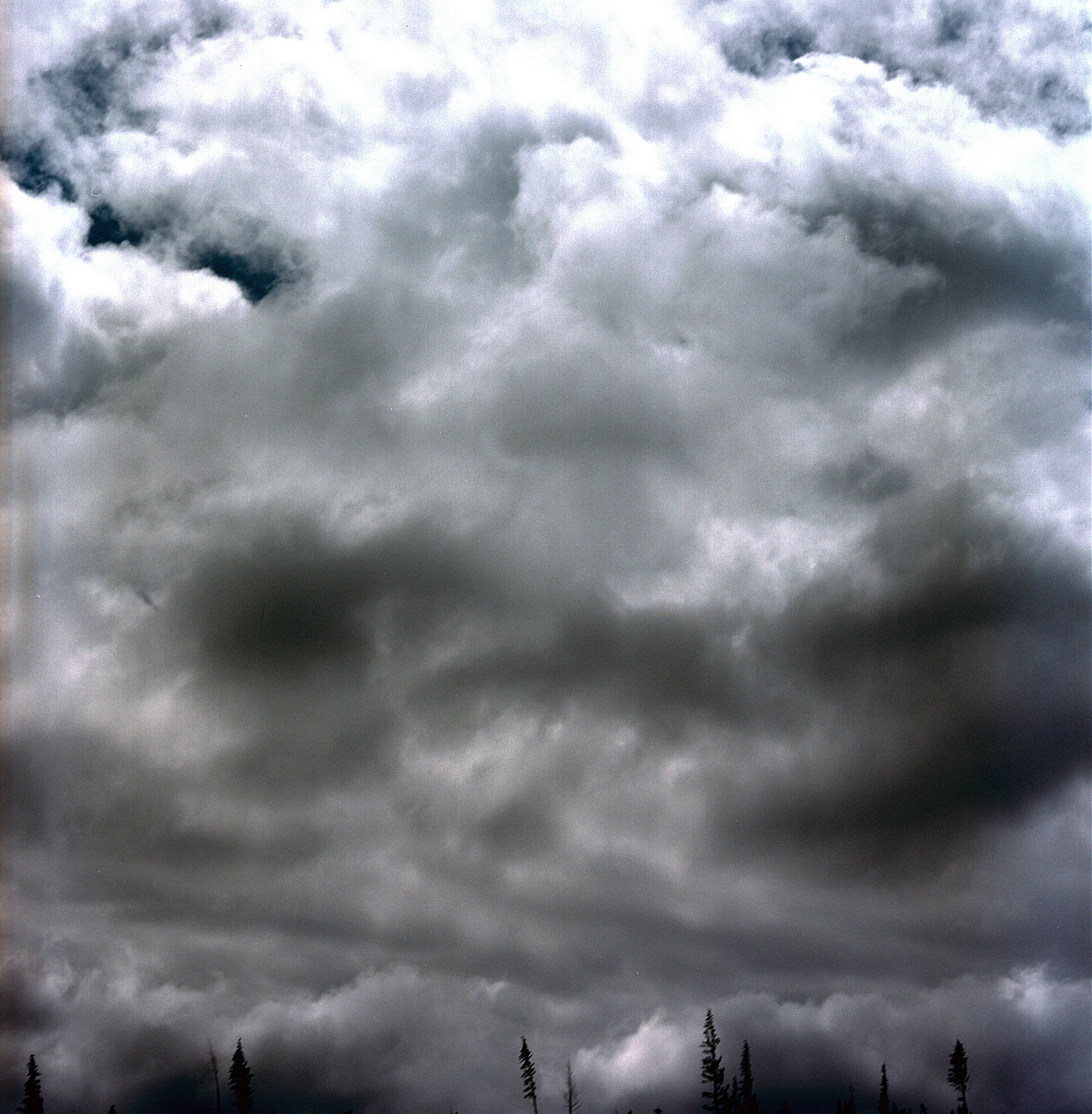  Tatla by Jock McDonald 