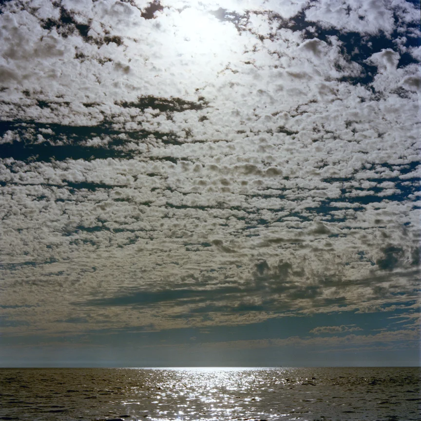  Vancouver by Jock McDonald 