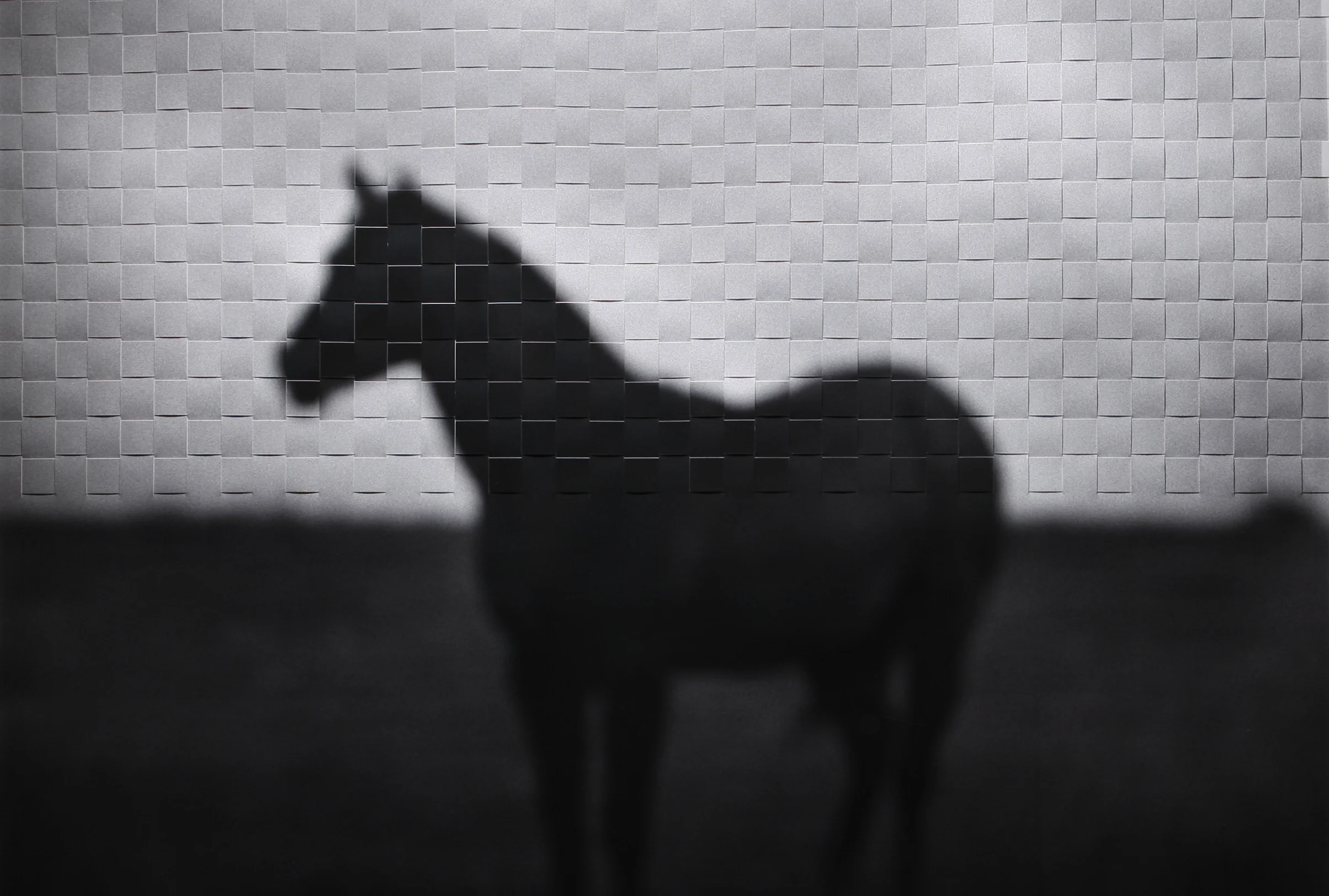  El Caballo by Jock McDonald 