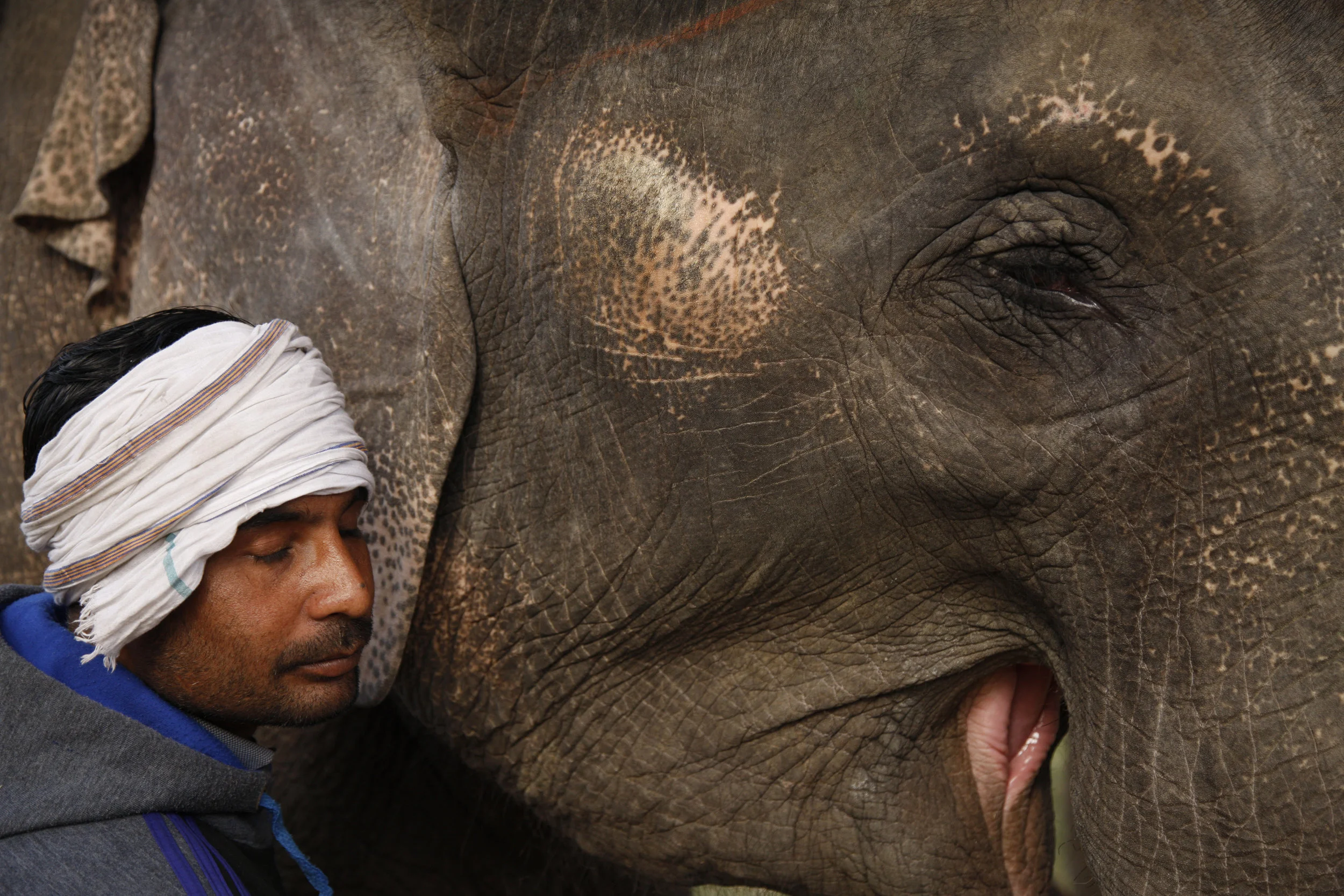  Jaipur by Jock McDonald 