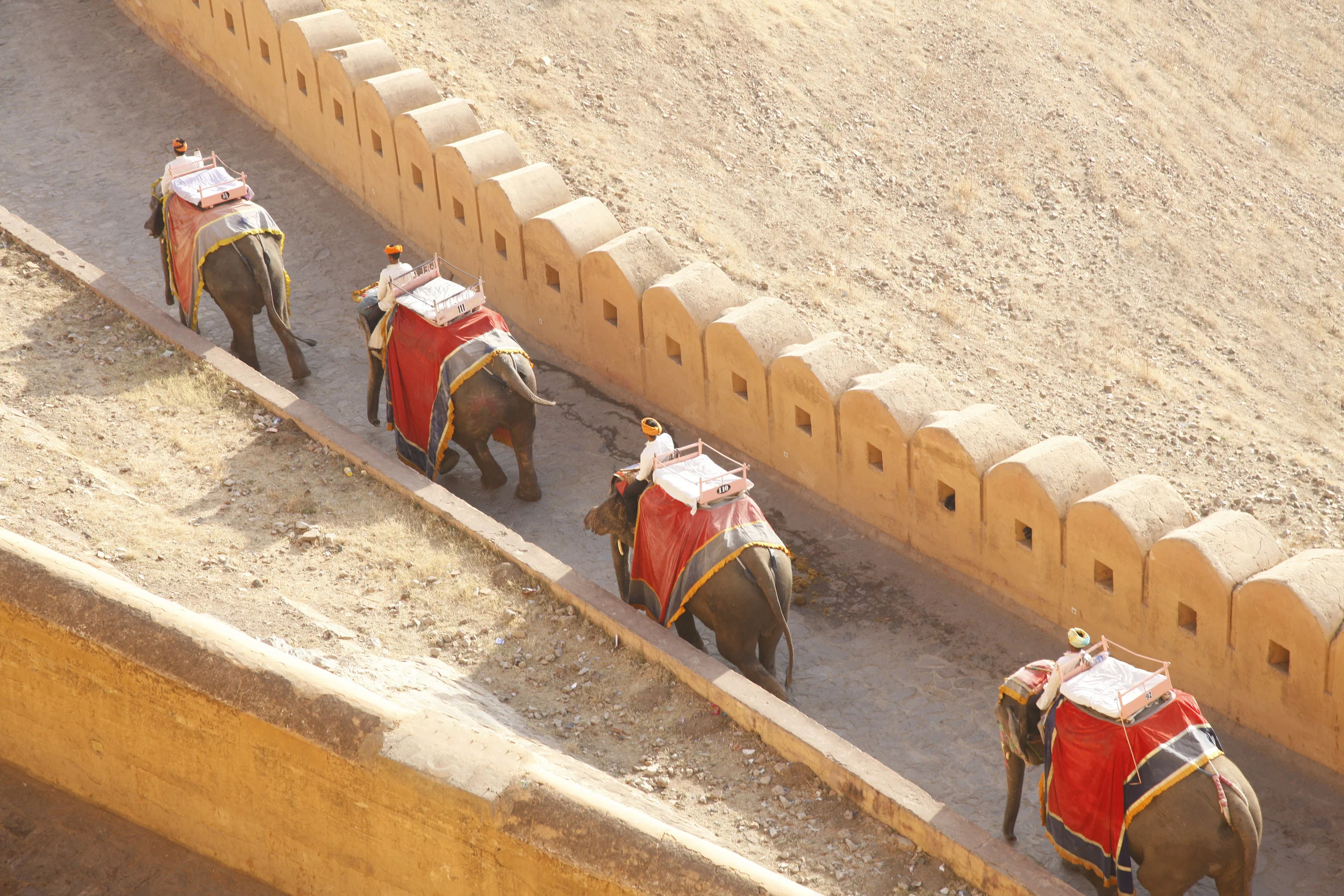  Procession by Jock McDonald 