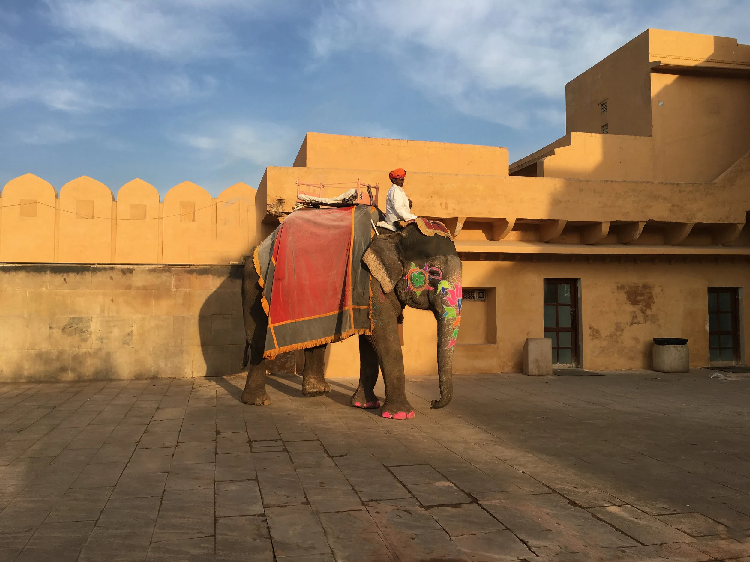  The Painted Elephant by Jock McDonald 