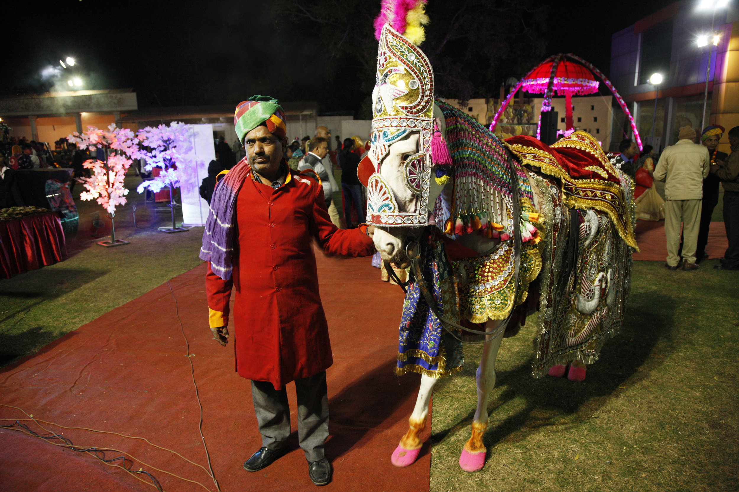  The Wedding Horse by Jock McDonald 