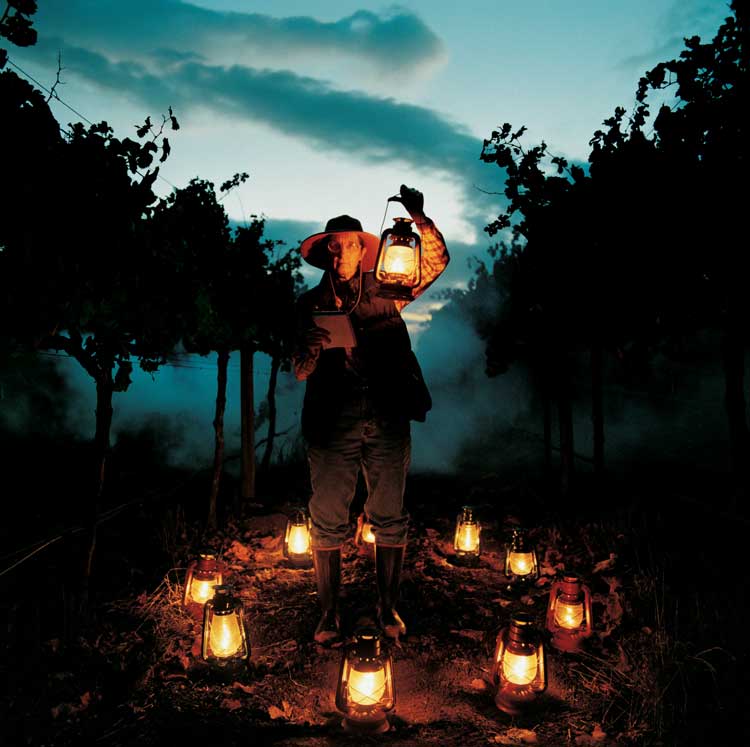  Marilynn, Woodfield Winery, Mondavi, by Jock McDonald 