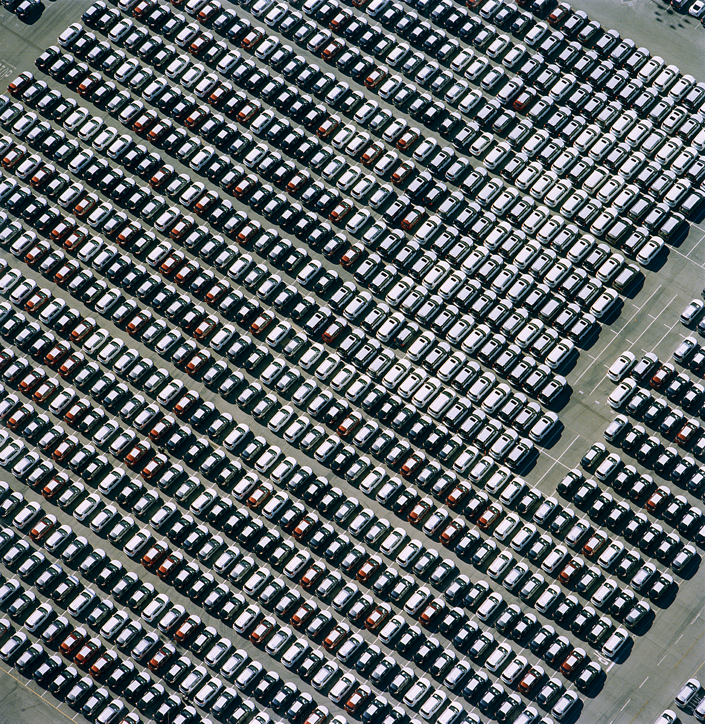  Cars by Jock McDonald 