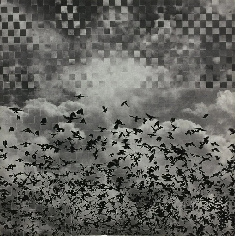  Birds by Jock McDonald 