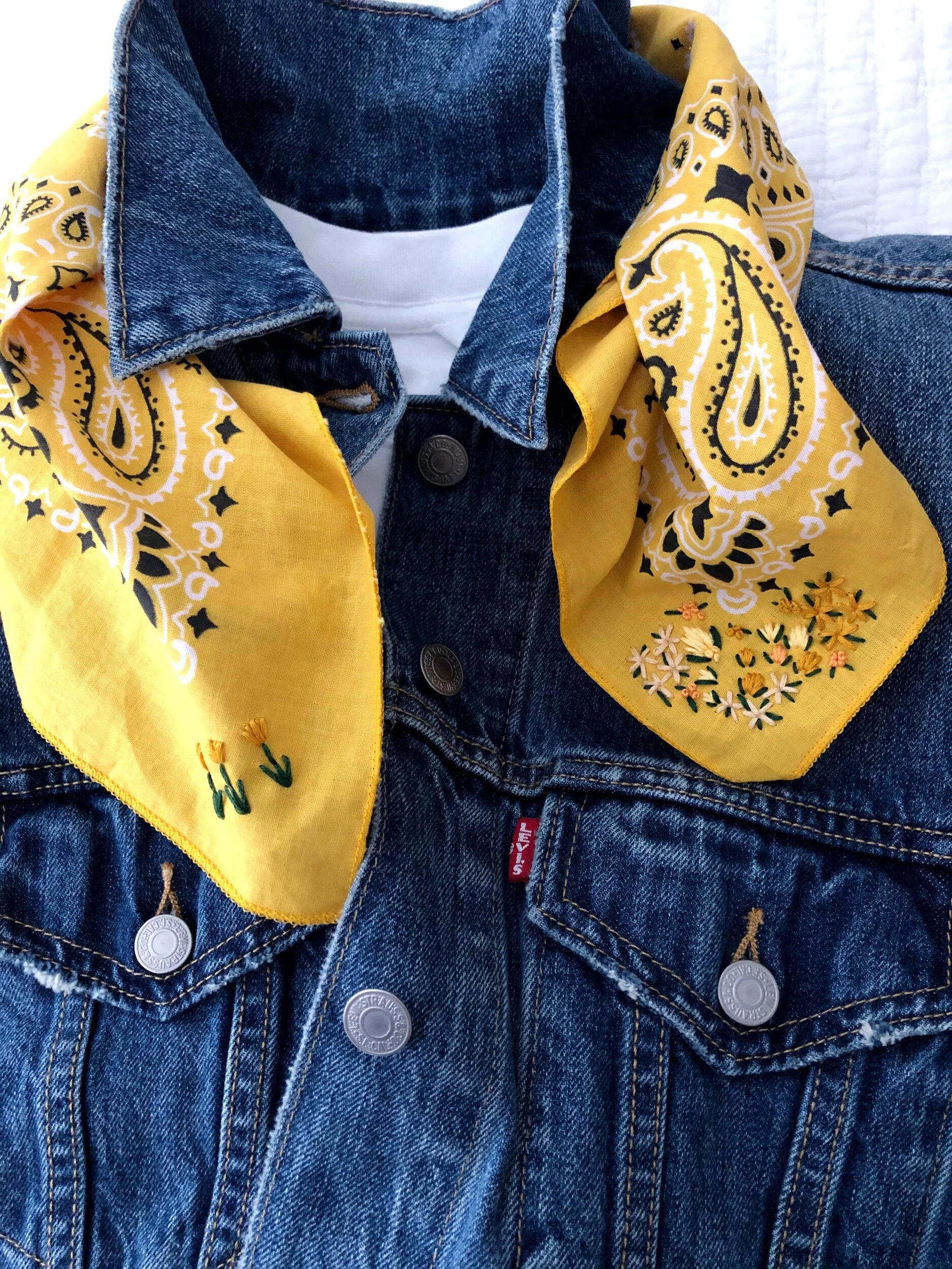 3A107A45-1A48-40CD-AD92-00756F89CE84