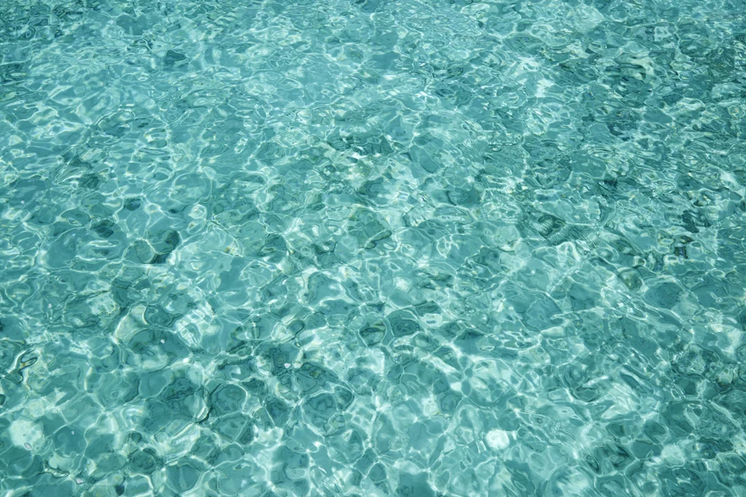 6S2A4241.jpg