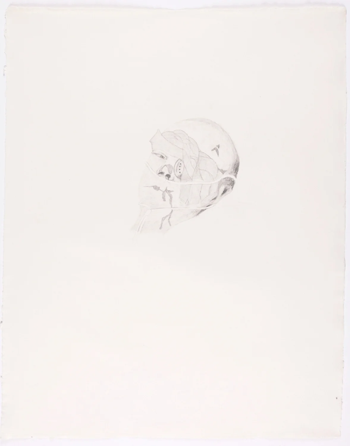 Bandaged Soldier II. 2010. Pencil on Paper. 30" x 22"