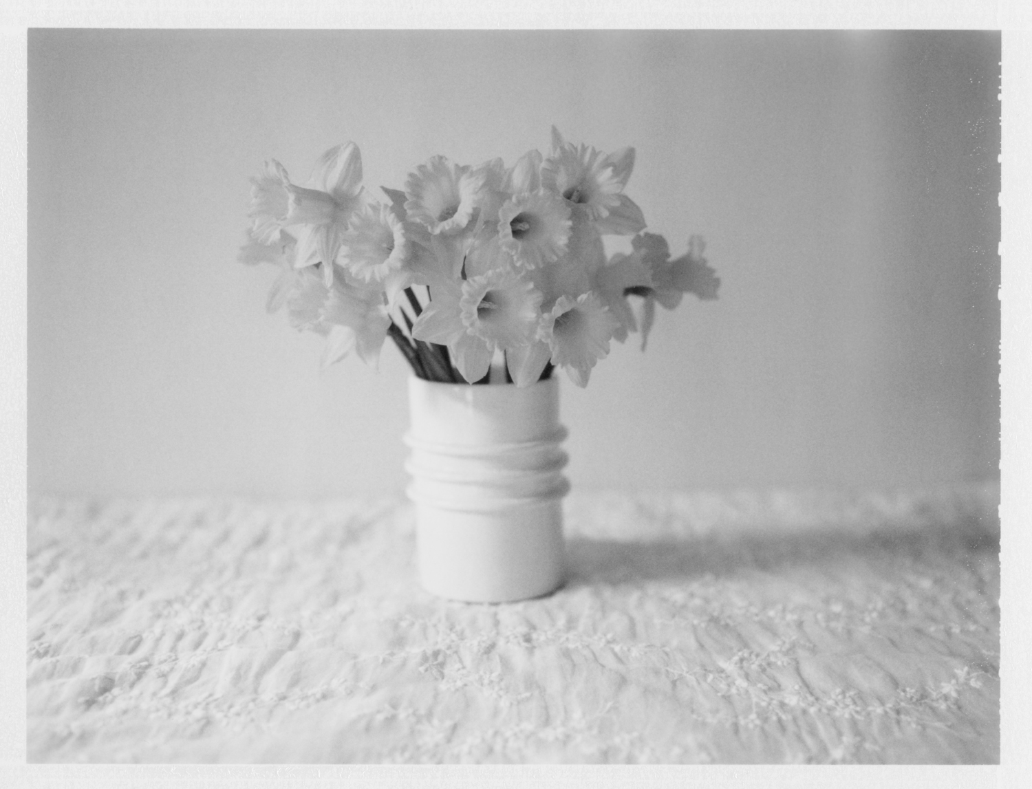  Daffodils. 2014. Archival Pigment Print. 6" x 8" 