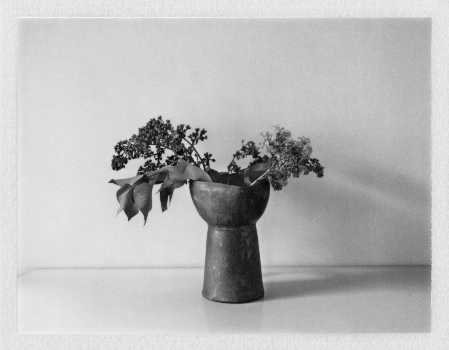 Lilacs for John Ashbury. 2016. Archival Pigment Print. 6" x 8" 