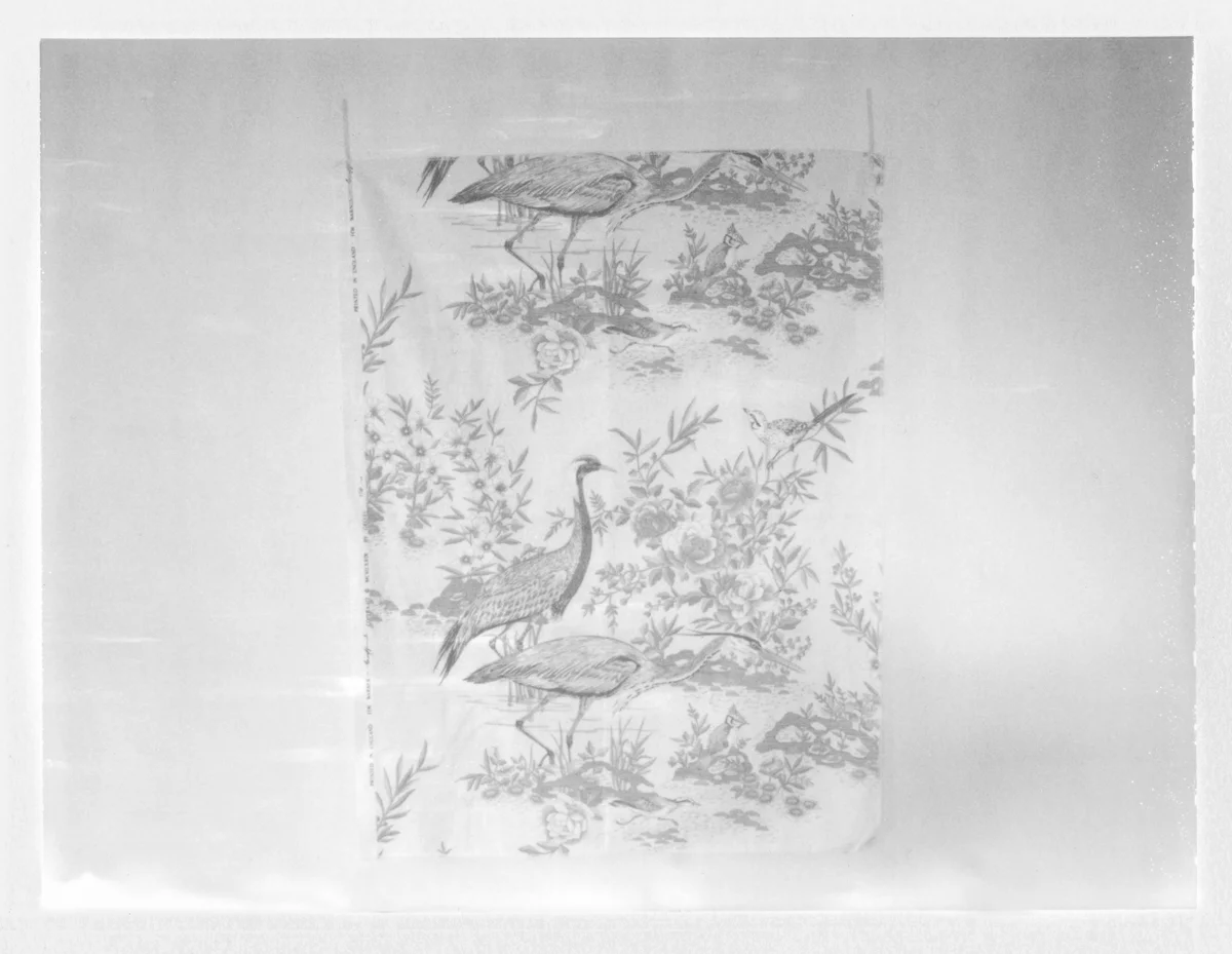 Fabric Piece with Birds. 2015. Archival Pigment Print. 6" x 8"