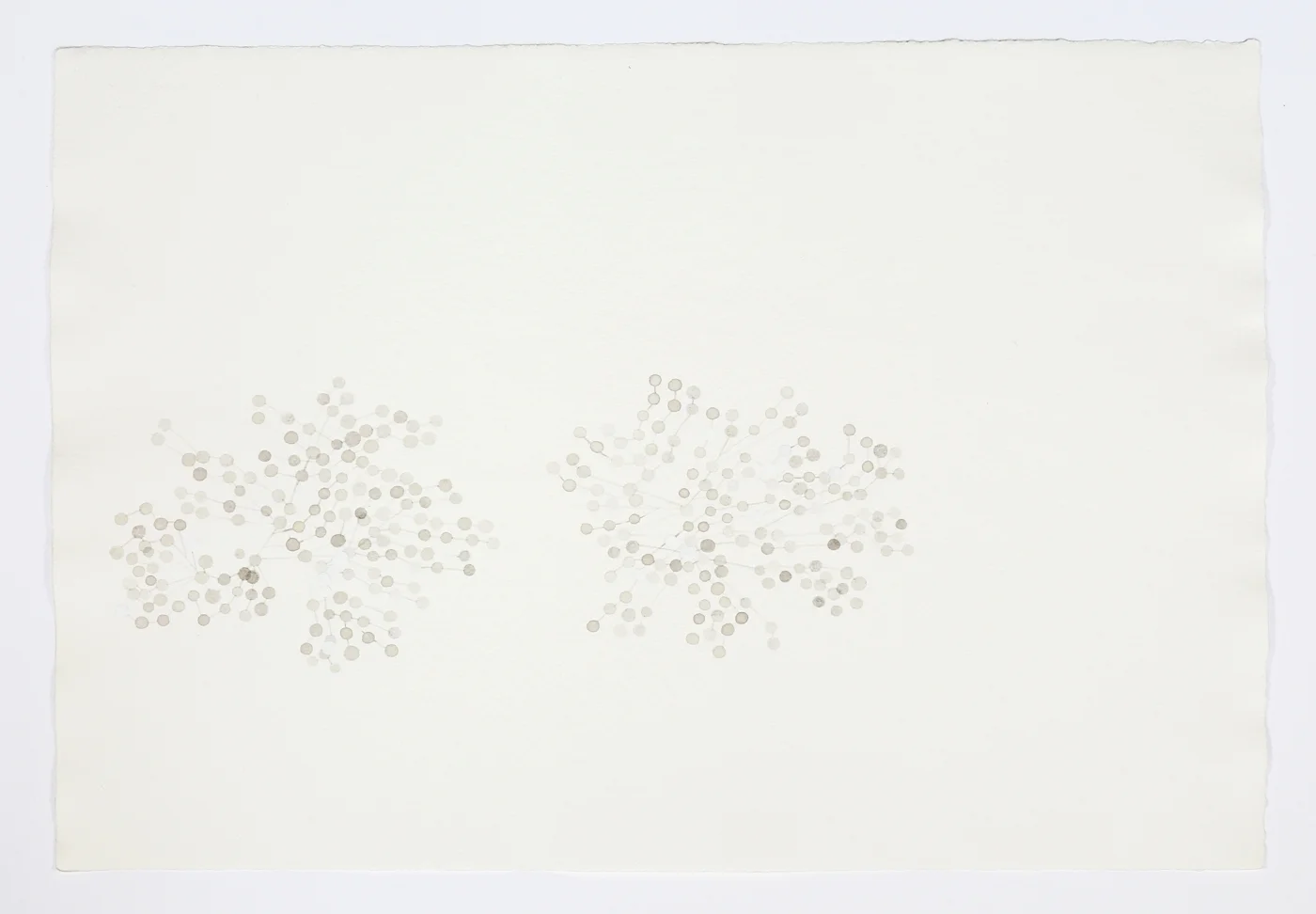 For Félix González-Torres. 2011. Ink on paper. 11" x 17"