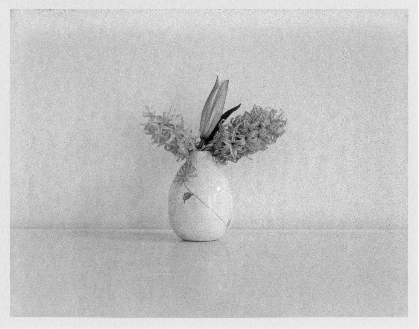  Hyacinths and Lilly. 2017. Archival Pigment Print. 7" x 9" 