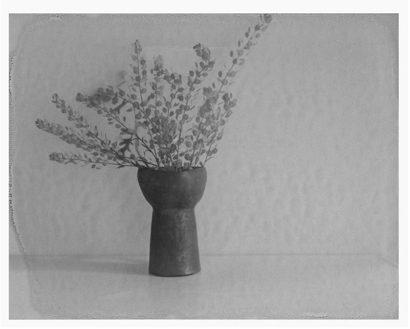 Hague’s Vase. 2016. Archival Pigment Print. 7" x 9"
