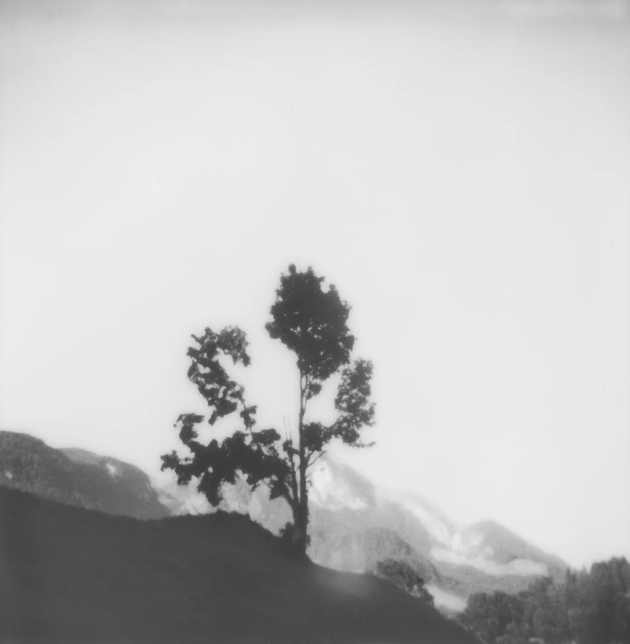 Archival Pigment Print, 6x6" - 2016-2018
