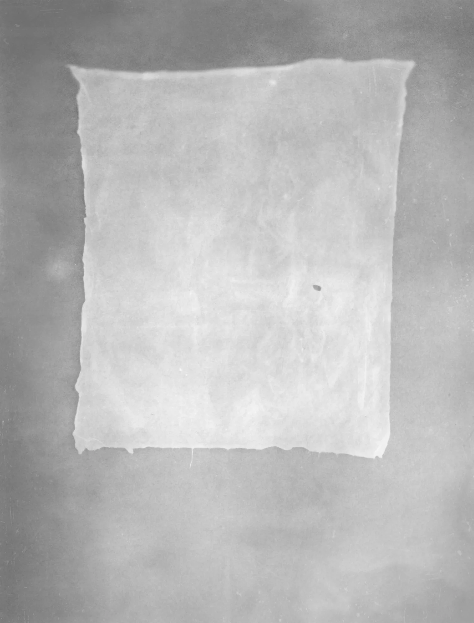 Pressed Hand-Made Paper