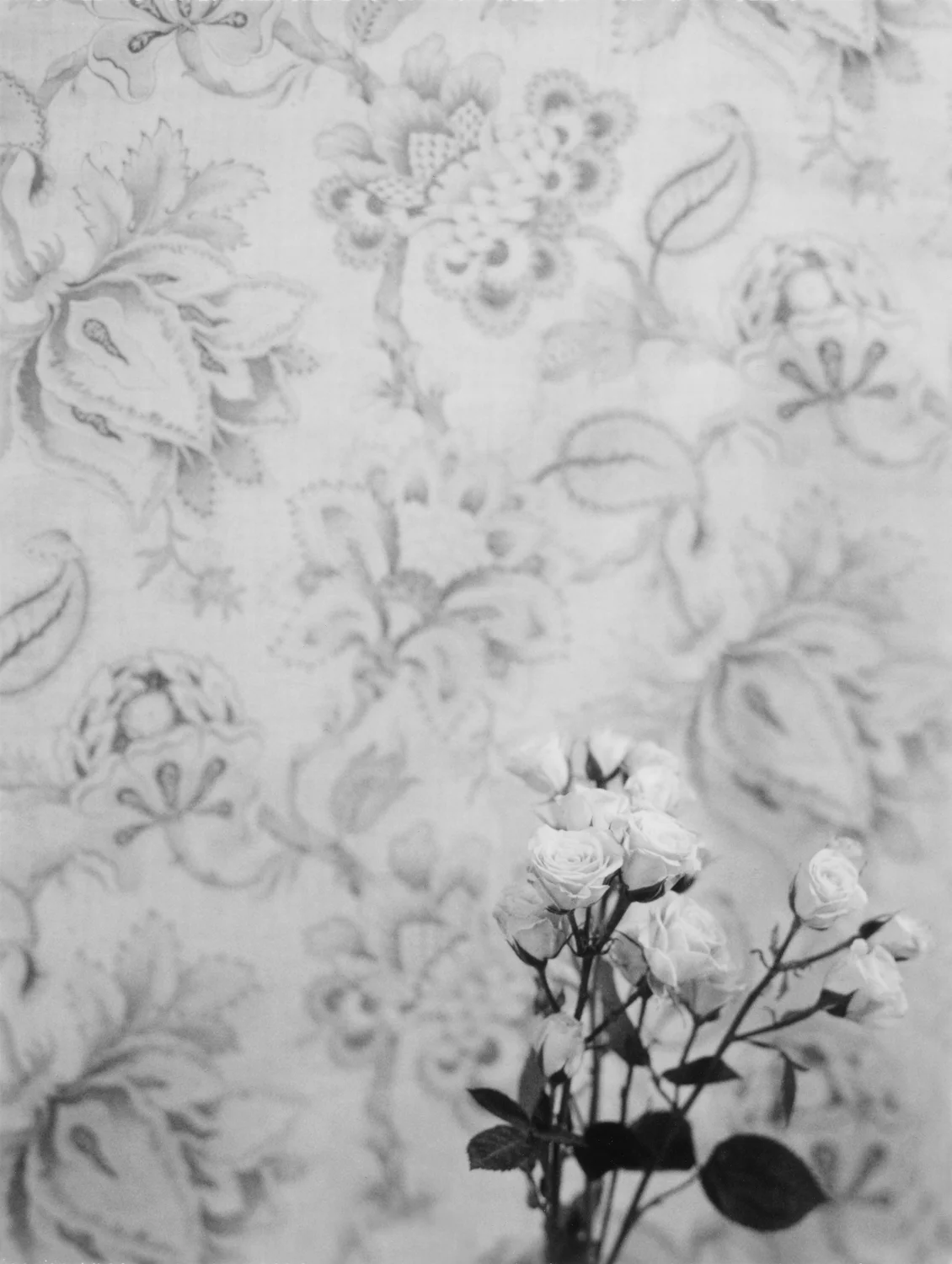 Bouquet for Robert Mapplethorpe