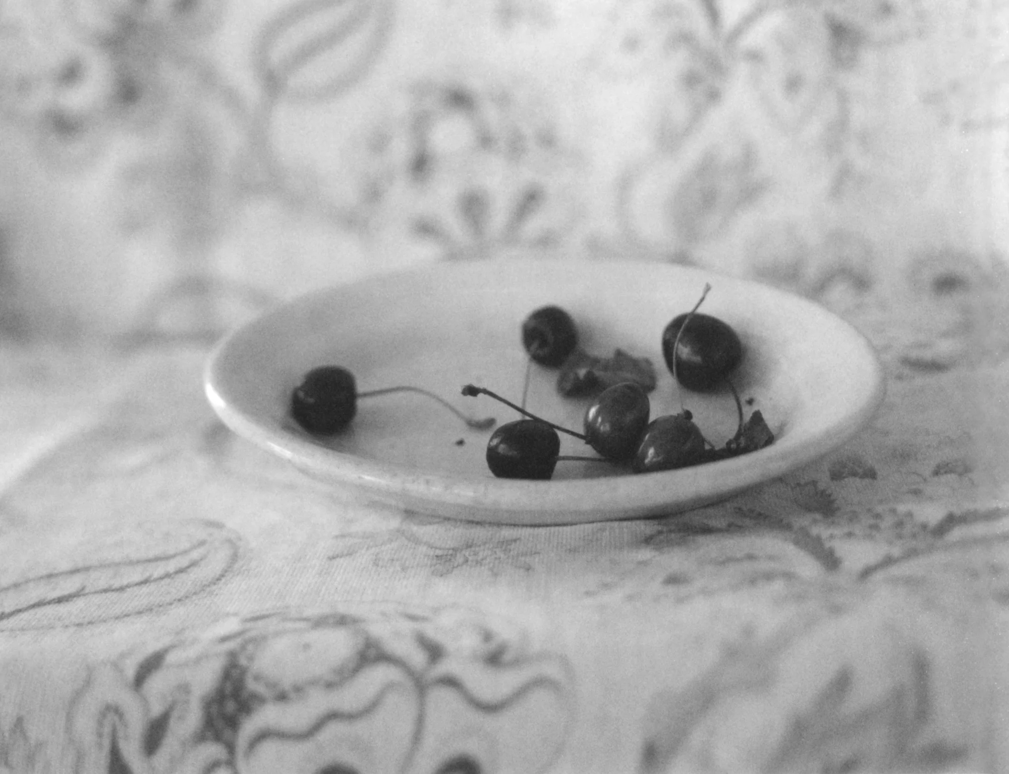 Plate With Cherries