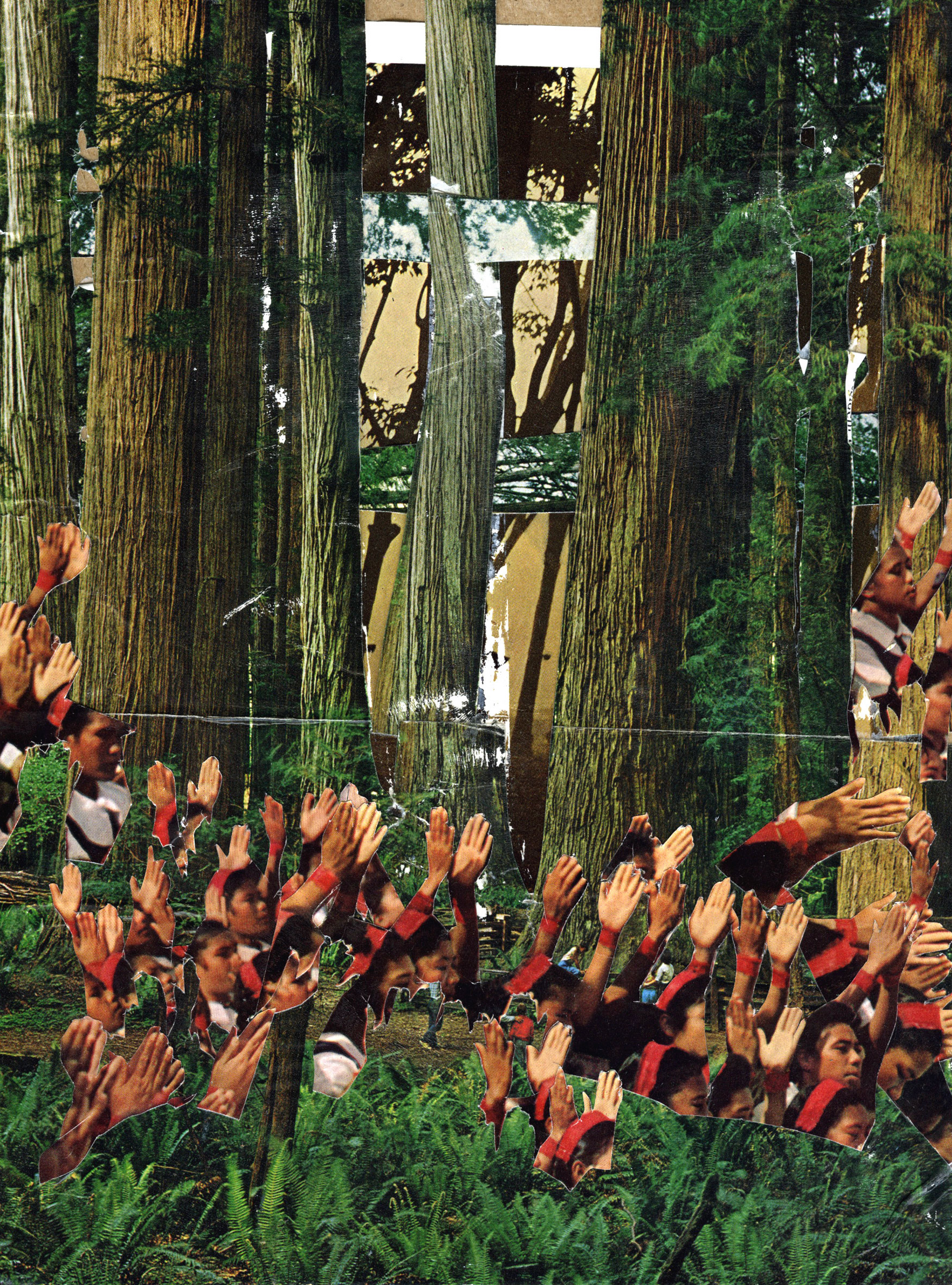 foresthands.jpg