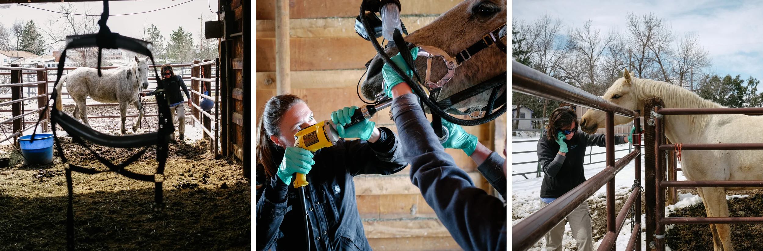Dr. Hoke and her assistant, Courtney, work in a client's backyard horse shelter during an equine dental procedure.