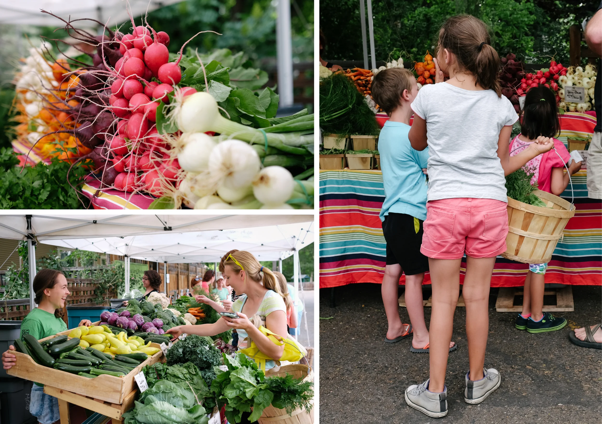 A Wednesday evening farmer's market is equally popular with CSA members and the public.