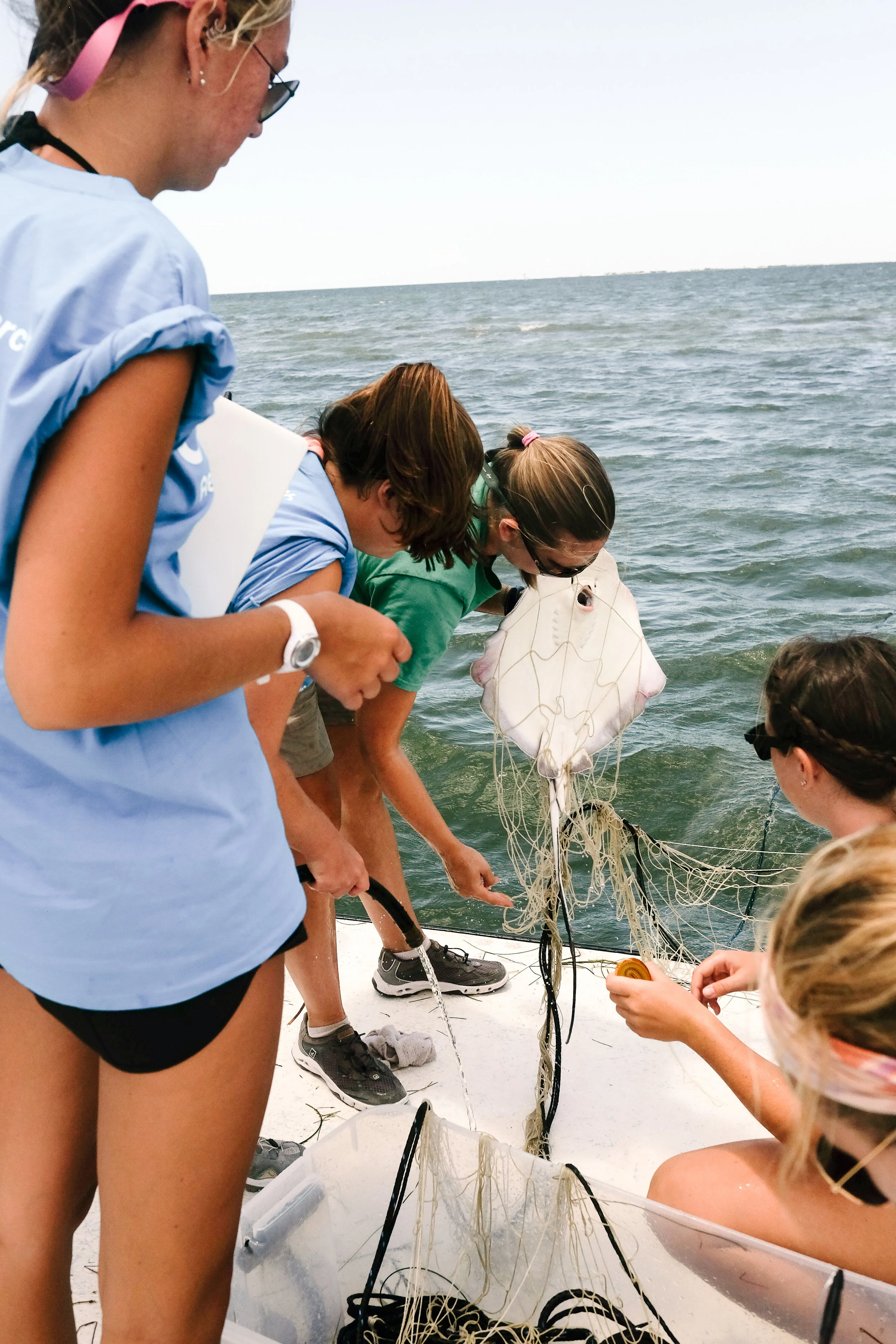 Moriah Moore helps her students carefully untangle a southern stingray from their net.