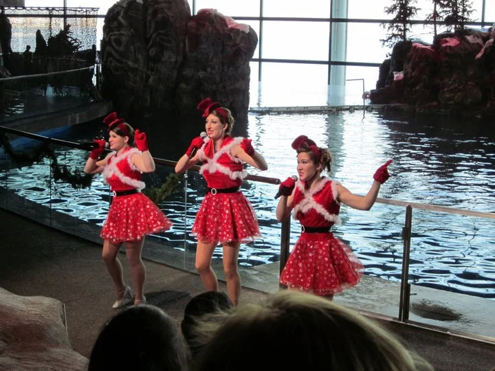 Holiday Fantasea
