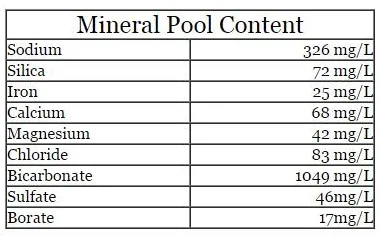 Mineral Content: sodium - 326 mg/L silica 72 mg/L iron 25 mg/L calcium 68 mg/L magnesium 42 mg/L Chloride 83 mg/L bicarbonate 1049 mg/L sulfate 46 mg/L borate 17 mg/L