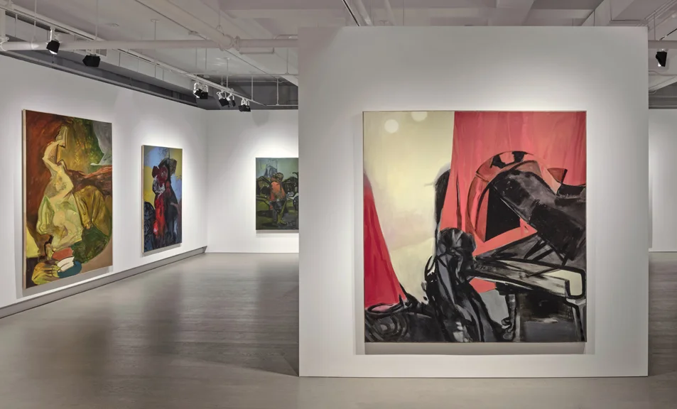 No Work, Nor Device, Nor Knowledge, Nor Wisdom Installation View, Koffler Gallery, Toronto, Canada, 2017