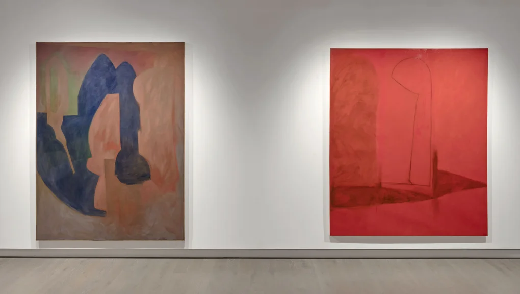 No Work, Nor Device, Nor Knowledge, Nor Wisdom Installation View, Koffler Gallery, Toronto, Canada, 2017