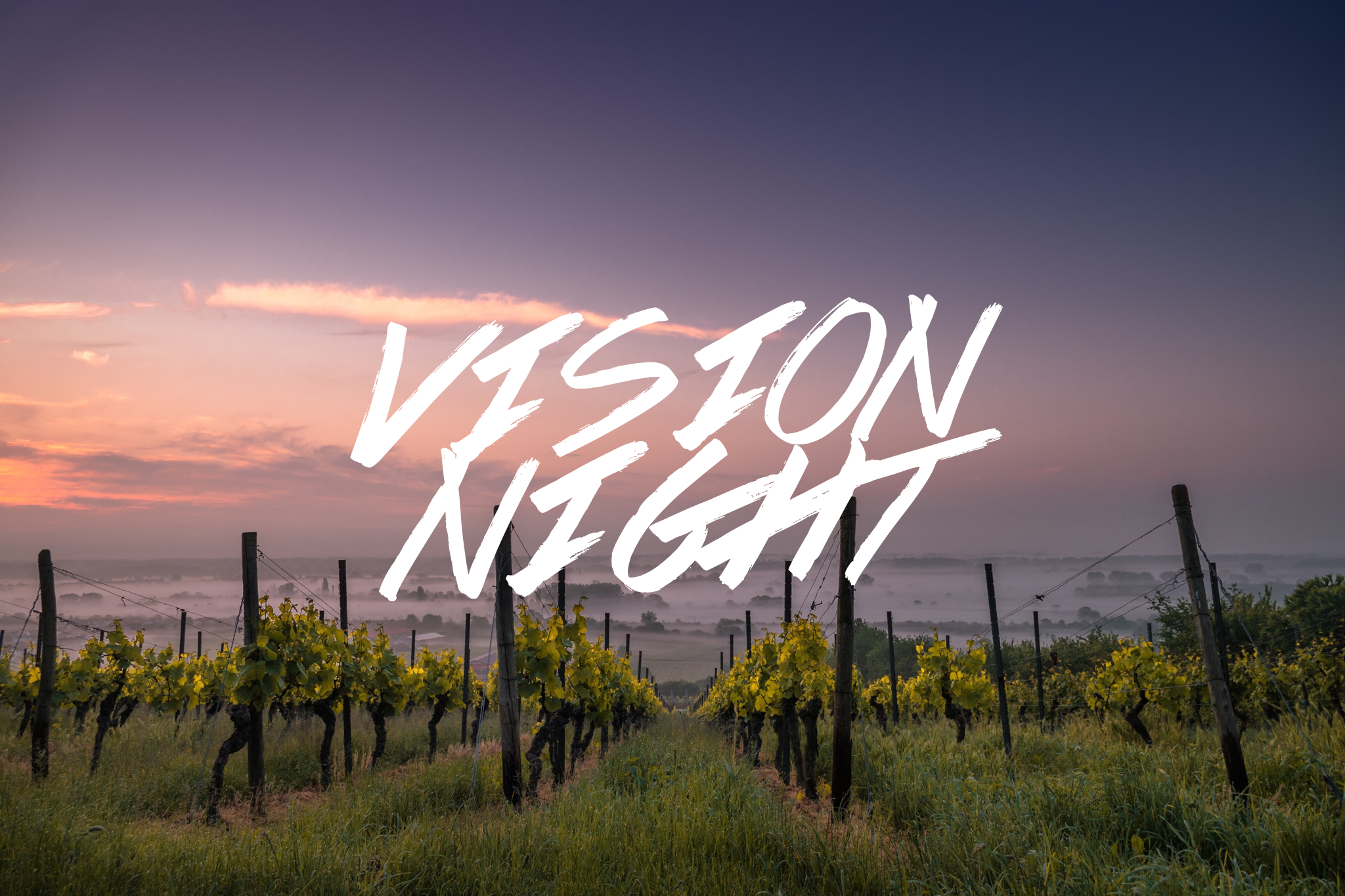 VISION NIGHT