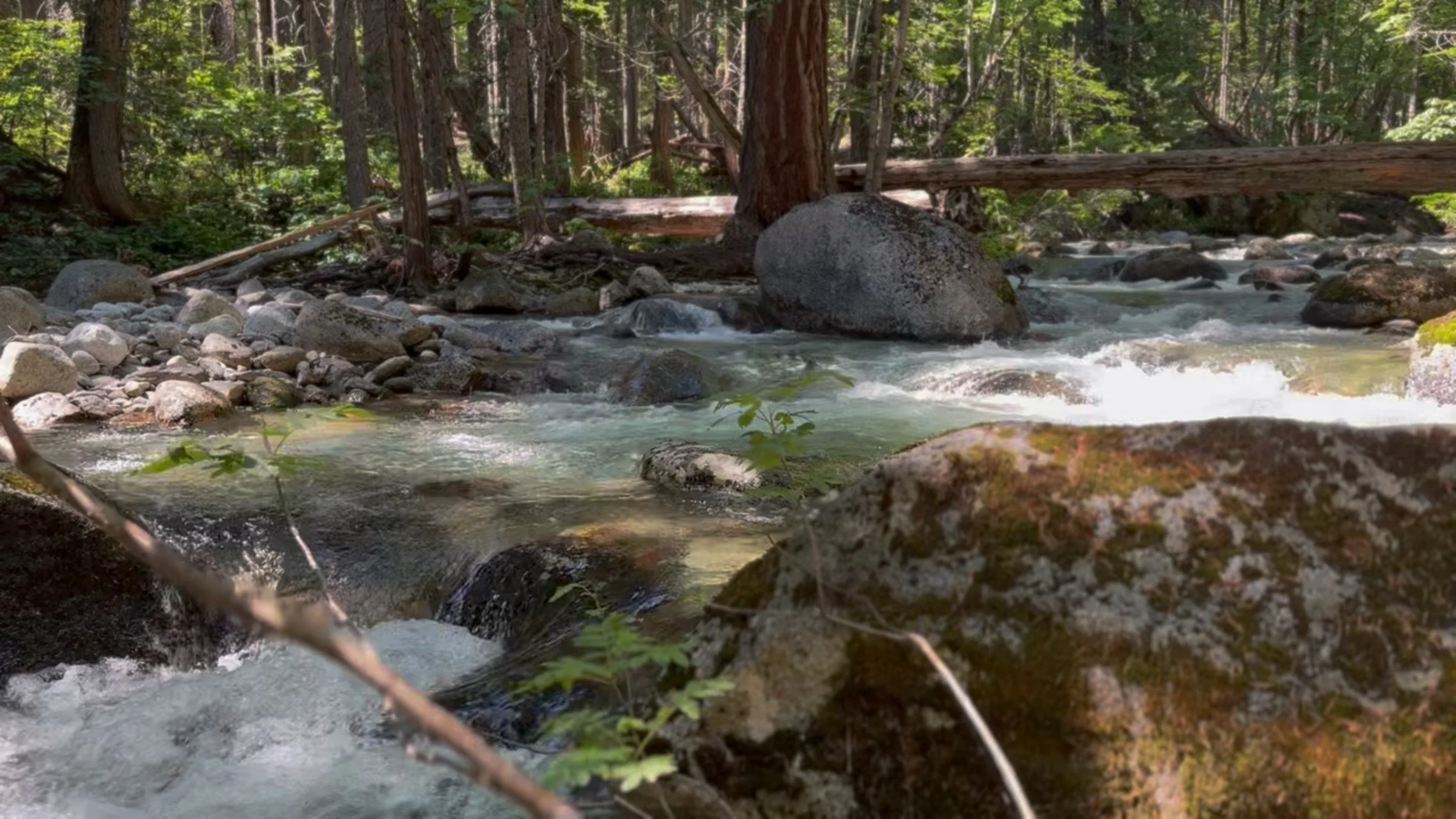 Trinity Alps Chamber Music Festival: Coffee Creek