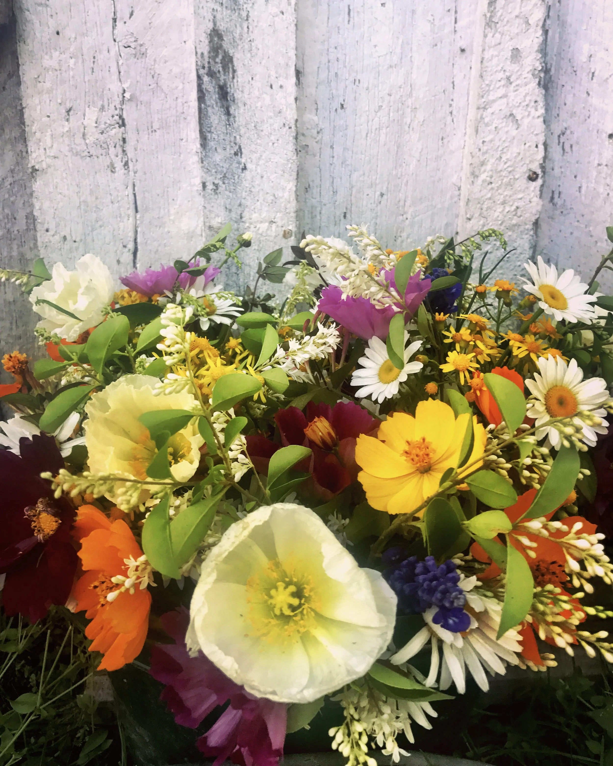 We have loads of flowers and love to make bouquets! Let us know when you need some flowers for your friends, loves, or yourself! 