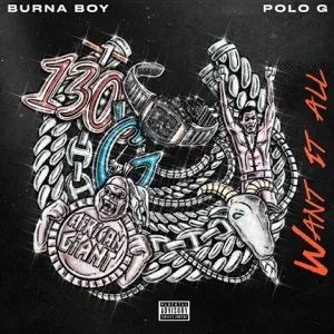 Burna Boy - Want It All