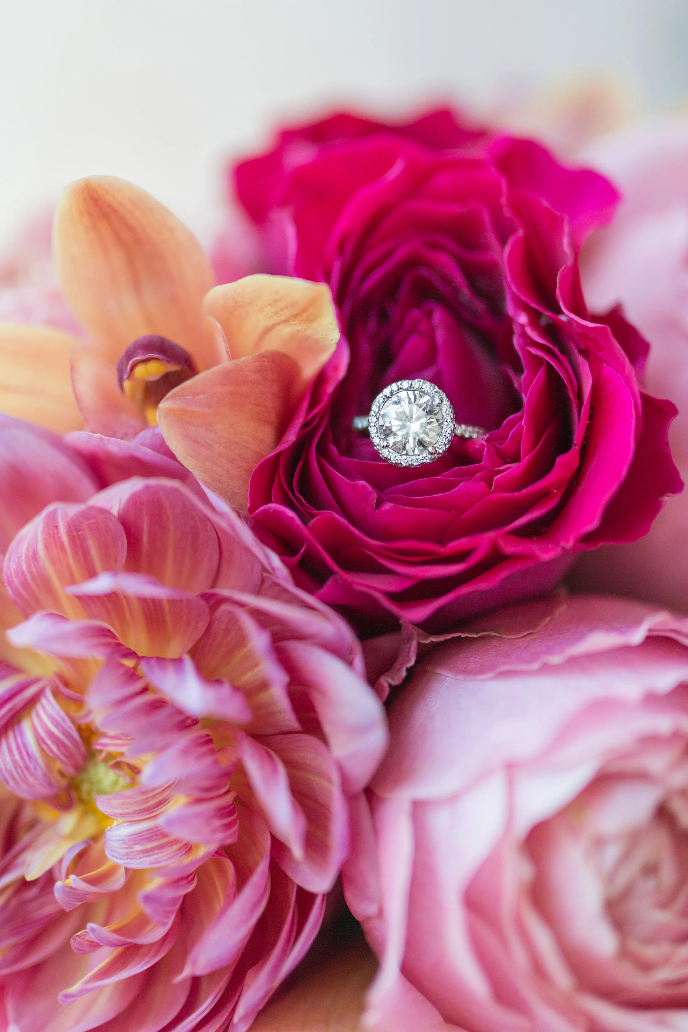 Coral Wedding, Standford, CT, Wedding, Bridal Party, Wedding Planning, CT Wedding Planner, Shoreline Wedding, Bride & Groom, Newlyweds