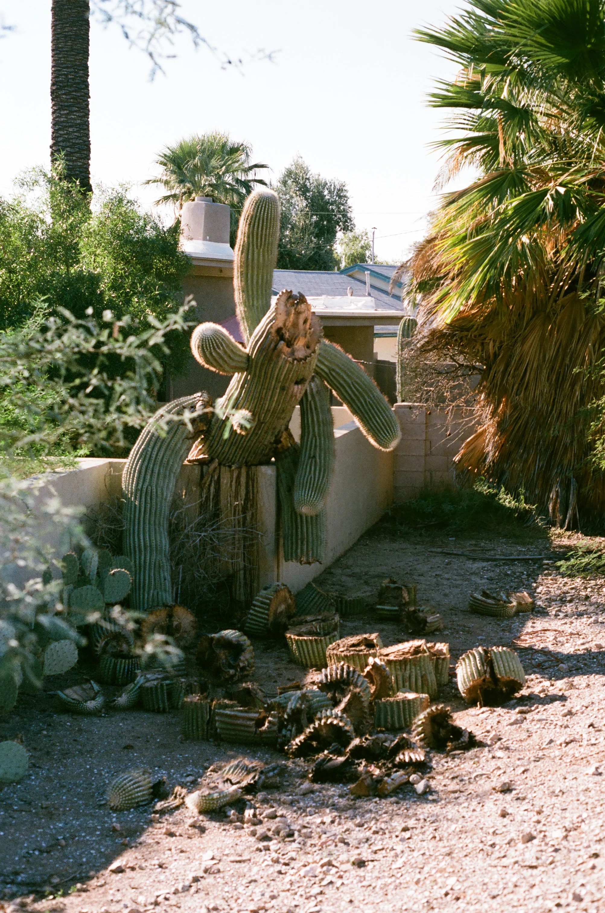photo-13.jpg