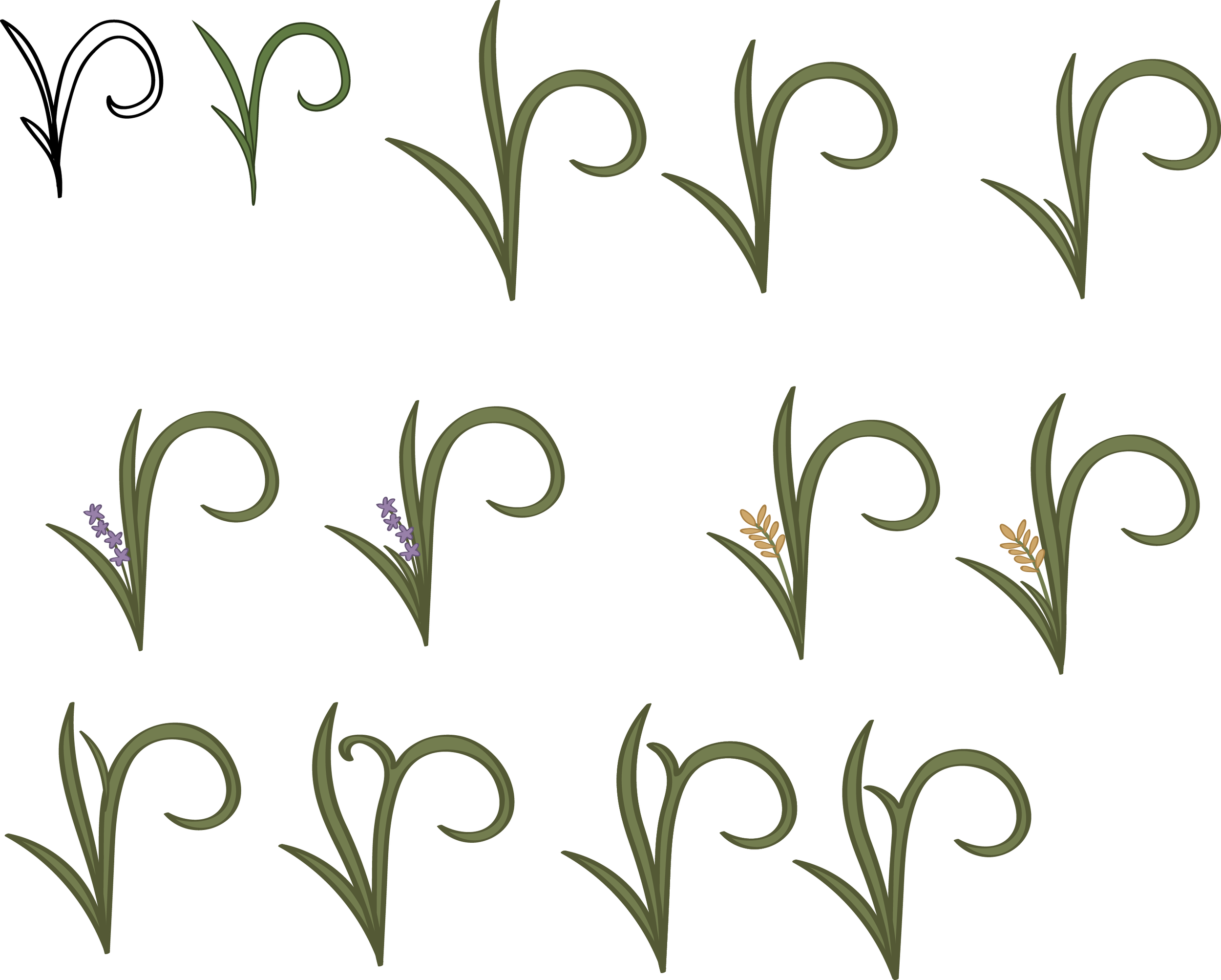 grass Ps.png