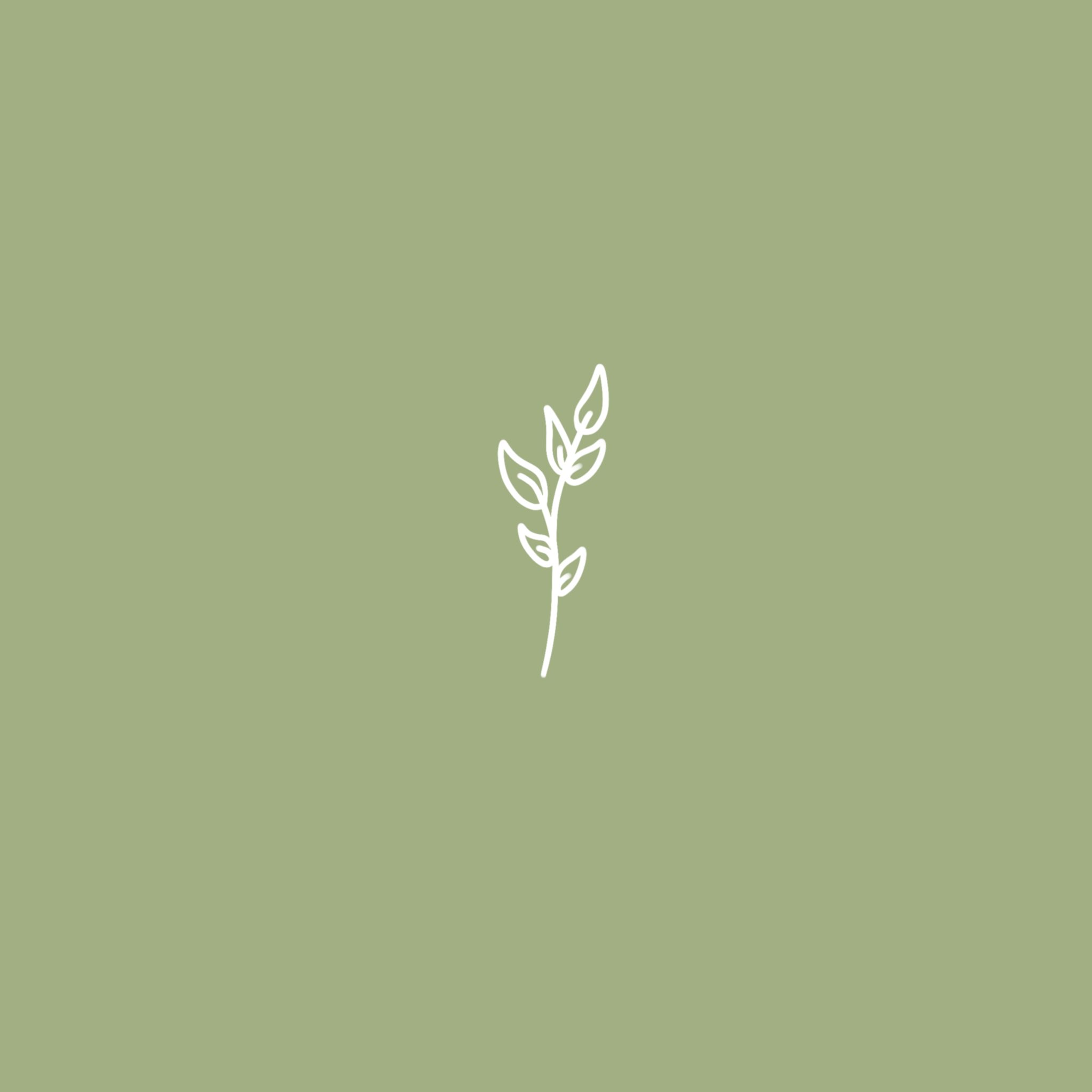 IMG_0888.PNG