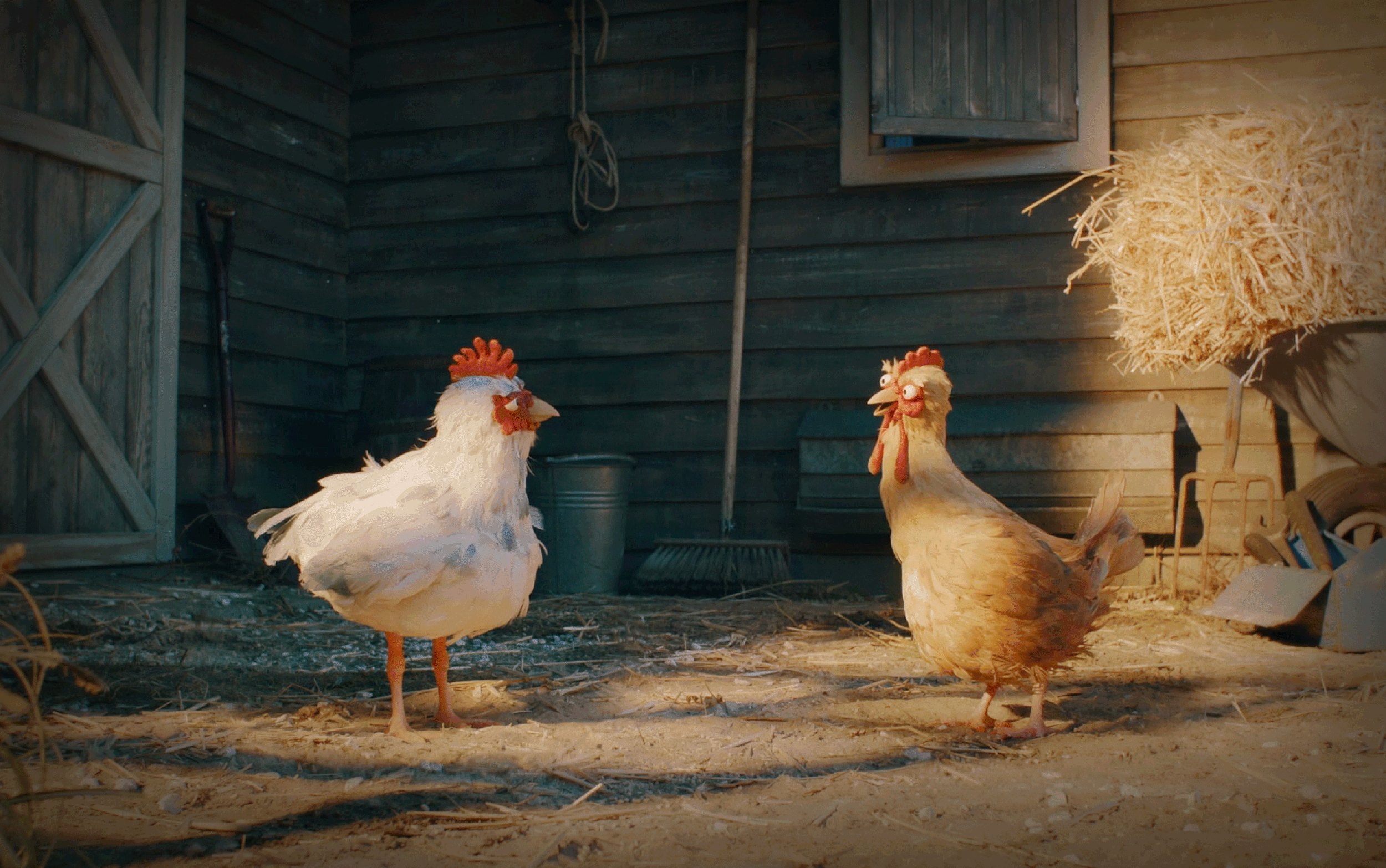 CHICKEN-THUMBNAIL.gif