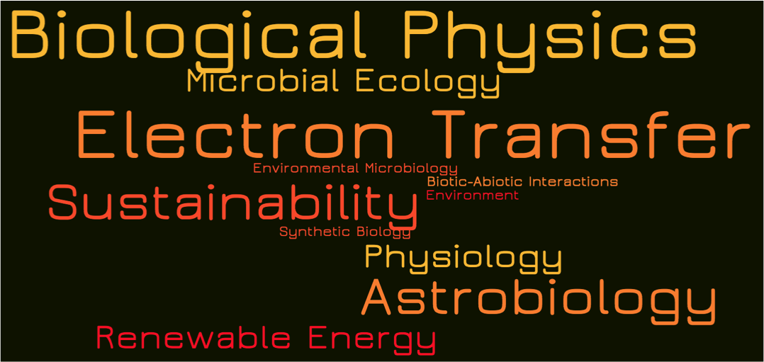 Word Cloud.png