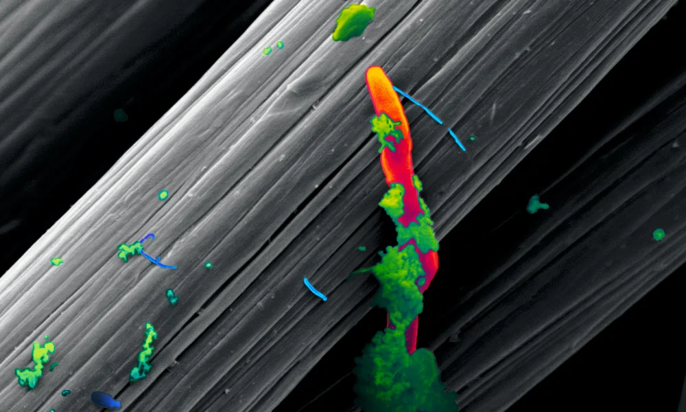 June and July 2016: Coverage of our NASA Astrobiology work by Quanta Magazine and the Atlantic Monthly !
