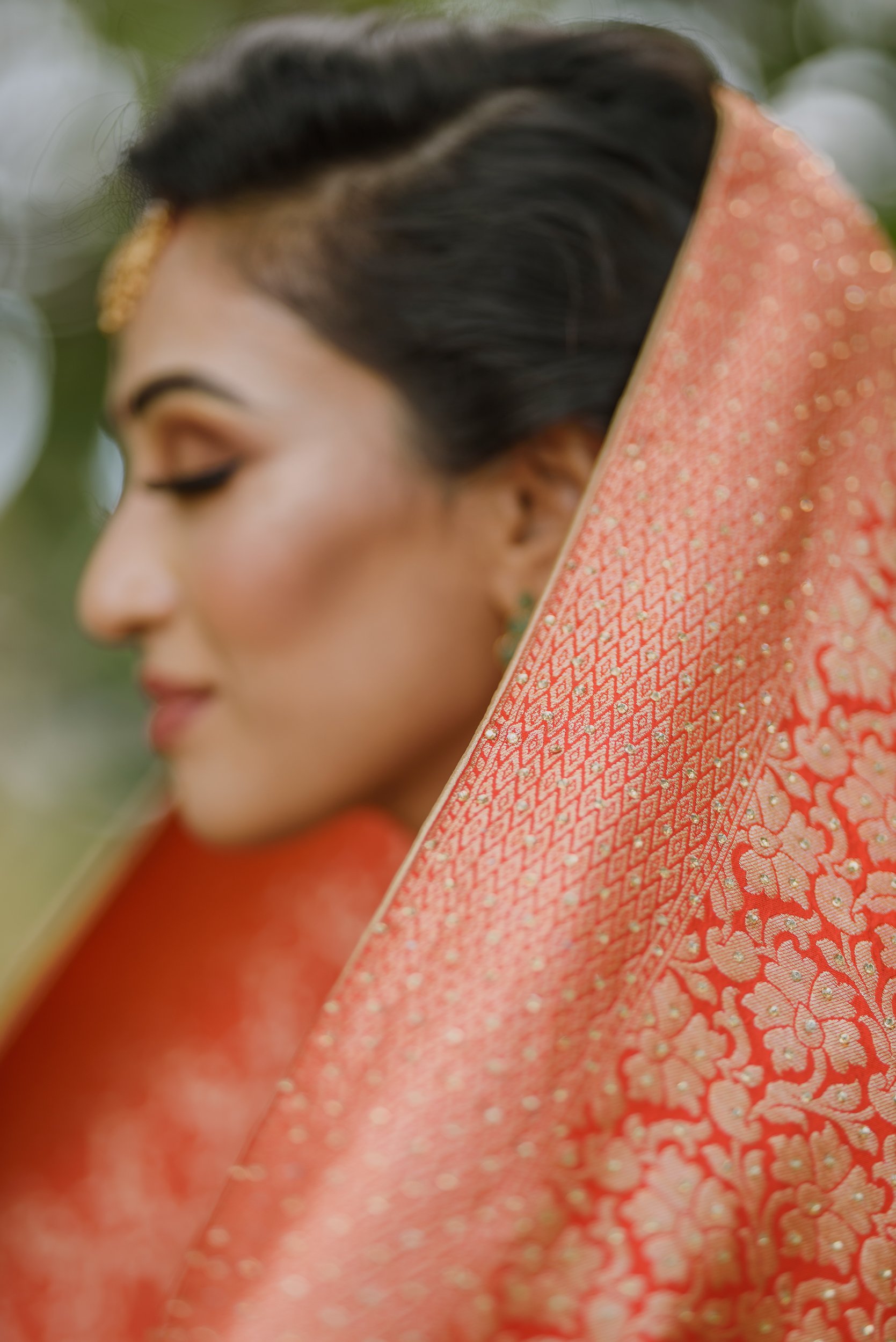 florida hindu wedding saree.jpg