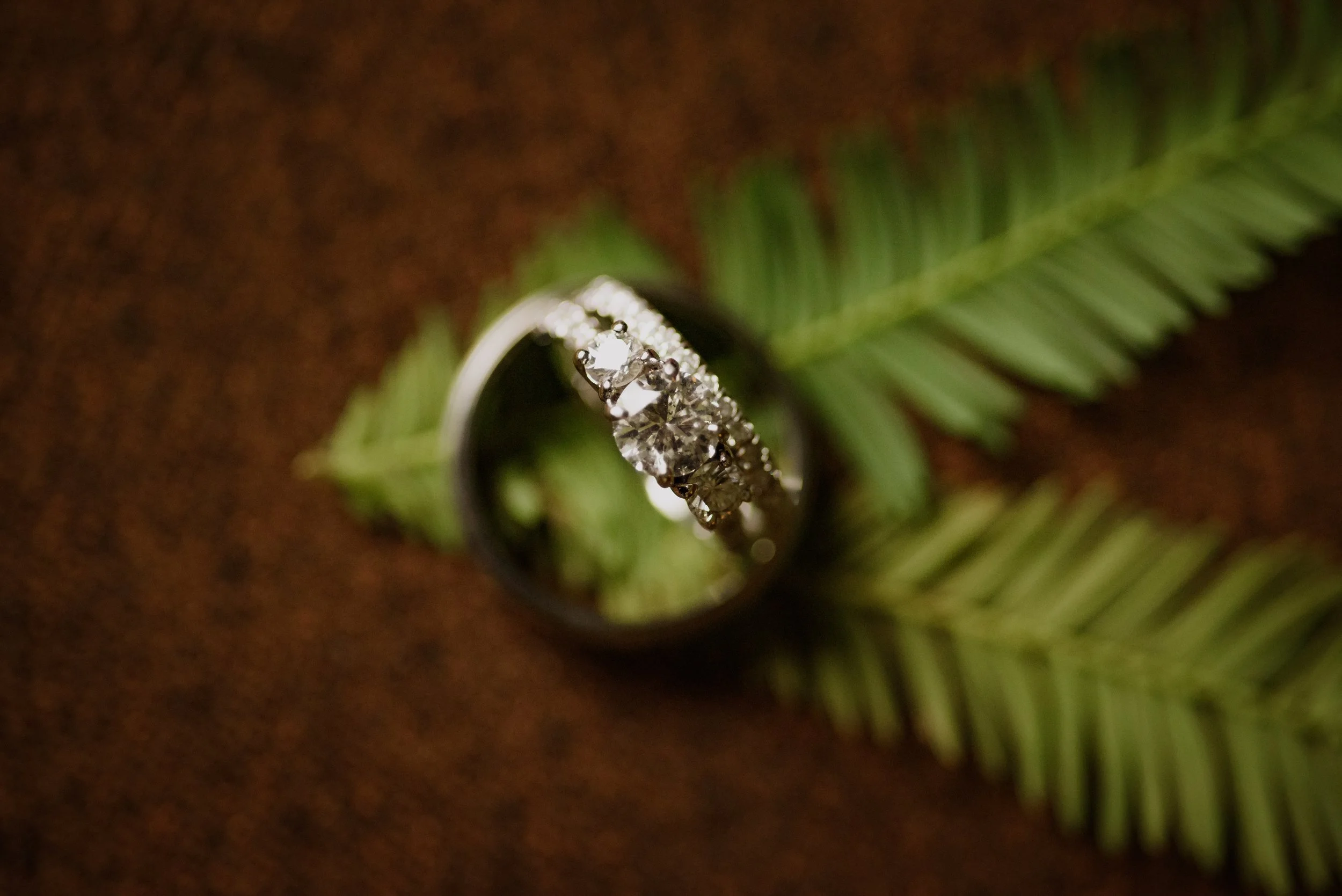 the living sculpture sanctaury wedding3.jpg