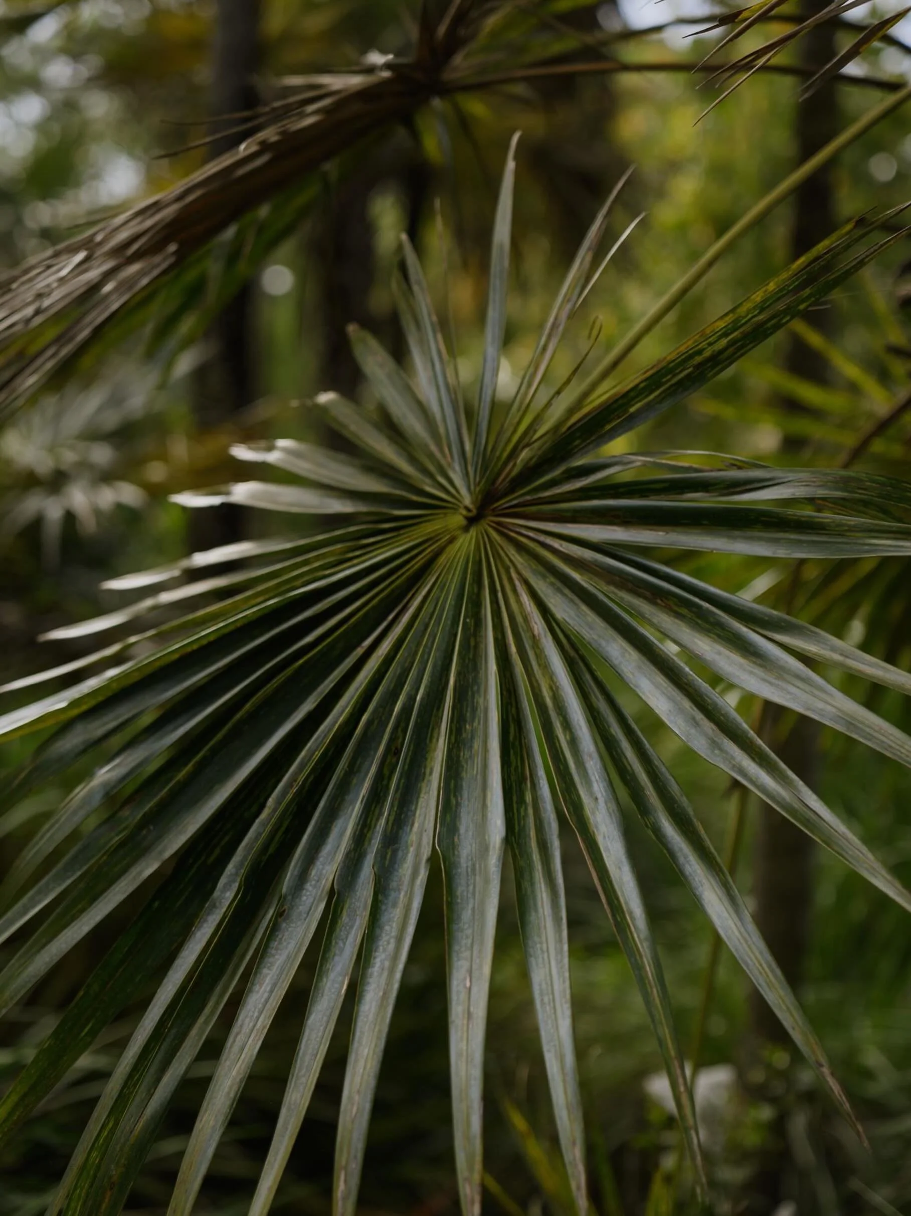 I love also capturing little details around me during the special moments that I get to photograph.