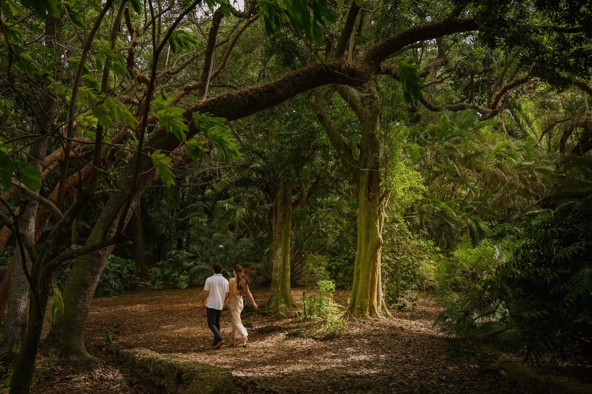 Getting lost together 🌿

(Fairchild botanical Gardens Proposal, miami Surprise Proposal, miami Photographer)