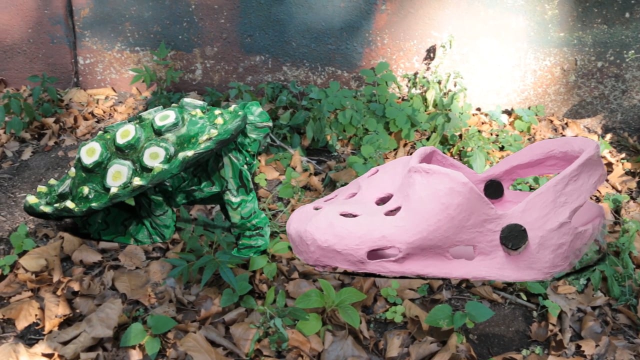 Tortoise having sex with a shoe, squeaking