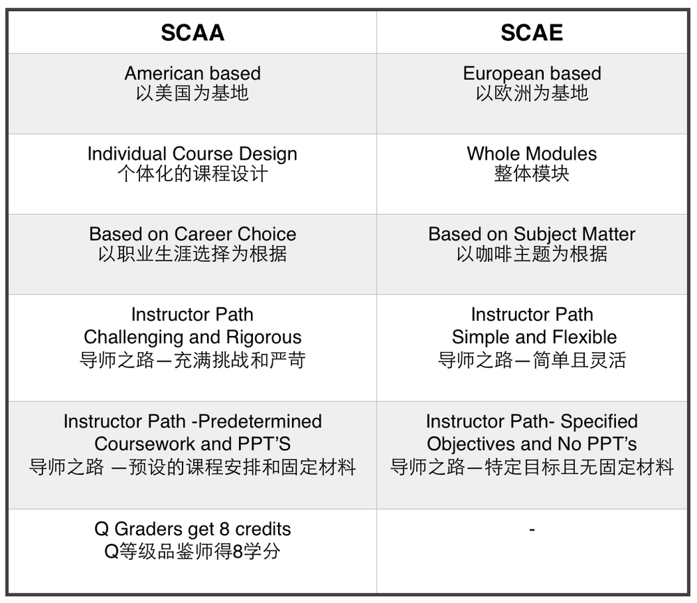 Comparison Guide Chinese Torch Coffee Labs